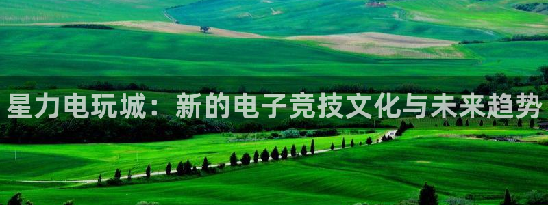 星欧娱乐的意思