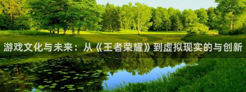 星欧娱乐什么意思：游戏文化与未来：从《王者荣耀》到虚拟现实的