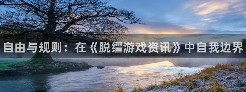 星欧娱乐官网登录：自由与规则：在《脱缰游戏资讯》中自我边界