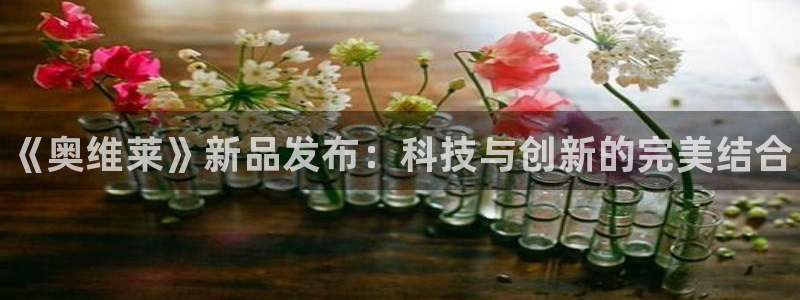 星欧娱乐登陆：《奥维莱》新品发布：科技与创新的完美结合