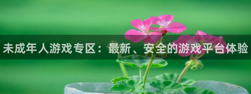 星欧娱乐注册测速：未成年人游戏专区：最新、安全的游戏平台体验