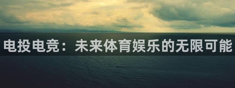 星欧娱乐注册开户：电投电竞：未来体育娱乐的无限可能
