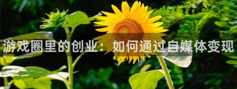 星欧娱乐官方注册登录：游戏圈里的创业：如何通过自媒体变现