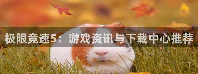 星欧娱乐科技：极限竞速5：游戏资讯与下载中心推荐