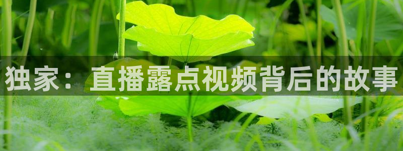 足球直播火凤直播