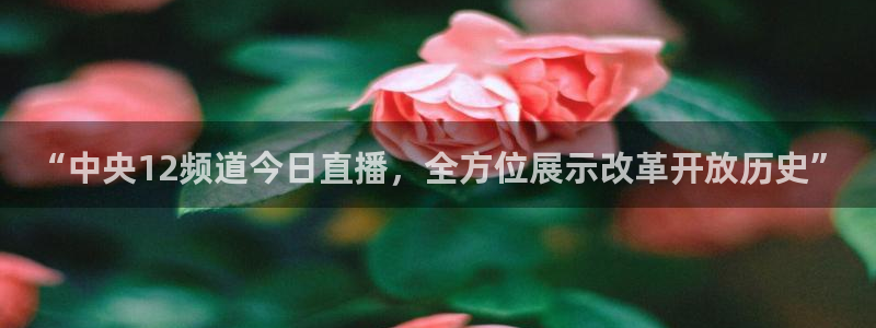 nba火凤体育免费直播：“中央12频道今日直播，全方位展示改革开放历史”