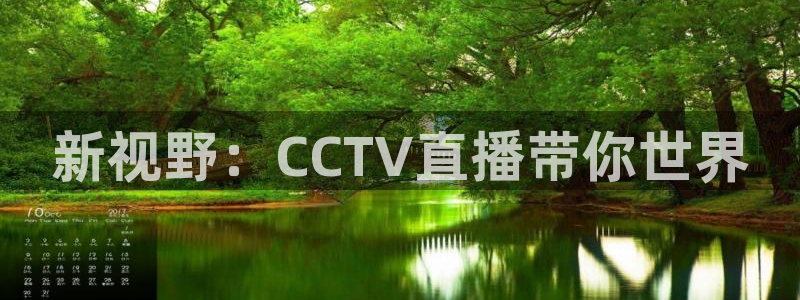 火凤直播五大联赛：新视野：CCTV直播带你世界